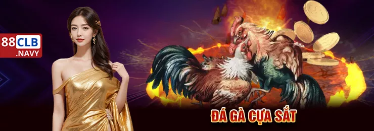 da-ga-cua-sat-cuc-hap-dan-tai-88clb